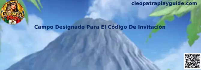 Campo Designado Para El Código De Invitación