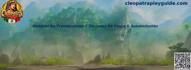Historial De Transacciones Y Opciones De Pausa O Autoexclusión